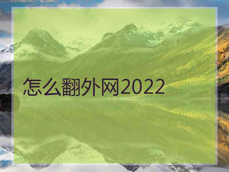 怎么翻外网2022