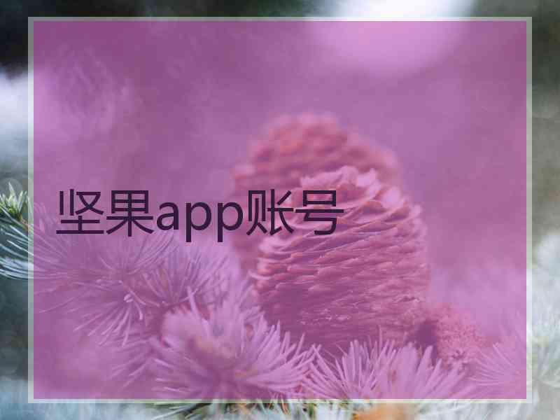 坚果app账号