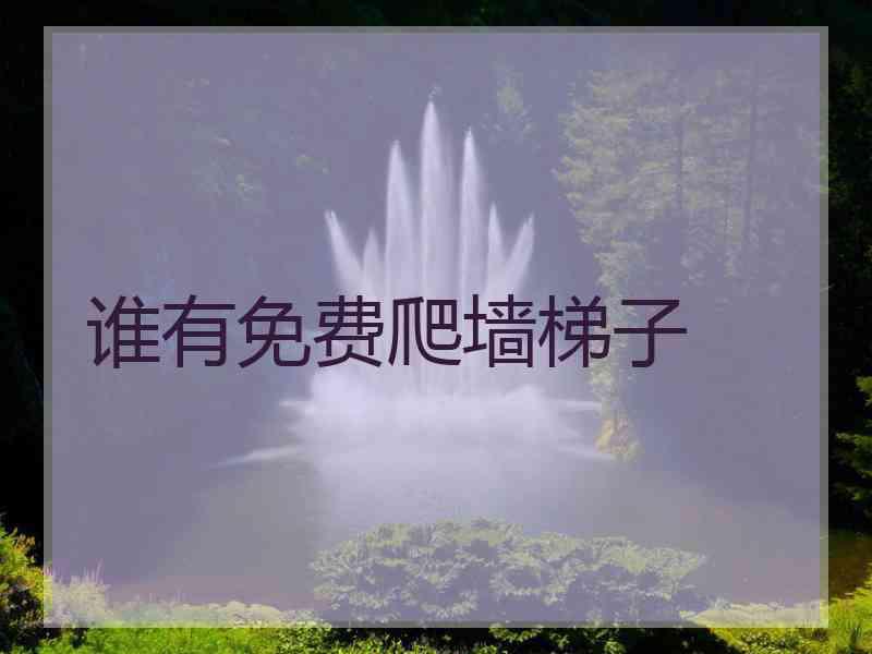 谁有免费爬墙梯子