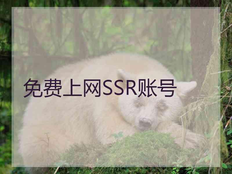 免费上网SSR账号