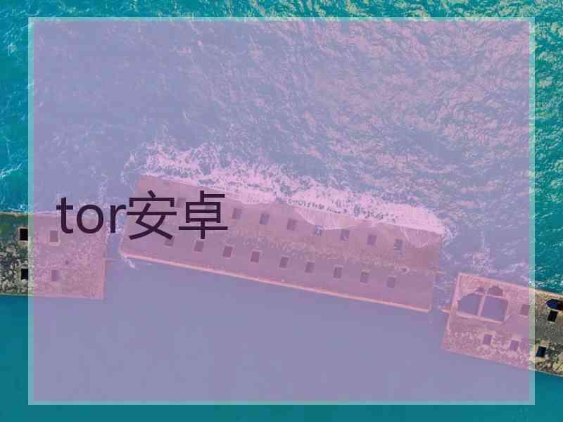 tor安卓