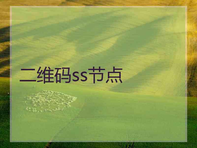 二维码ss节点