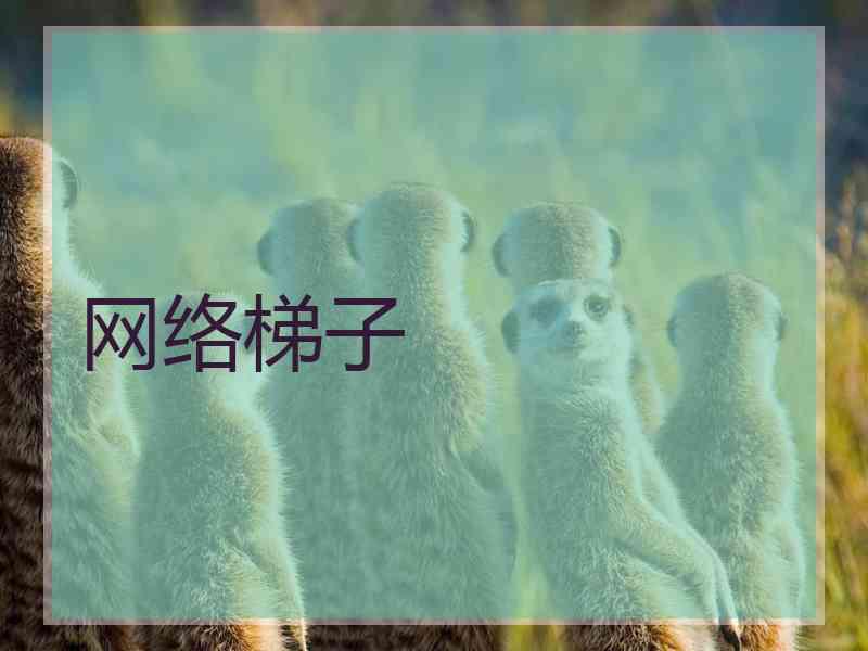网络梯子