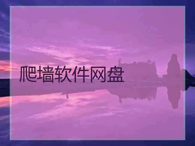 爬墙软件网盘