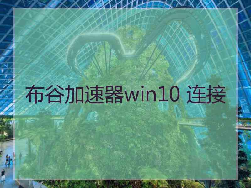 布谷加速器win10 连接