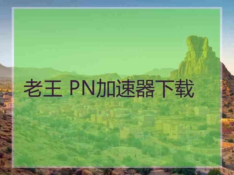 老王 PN加速器下载