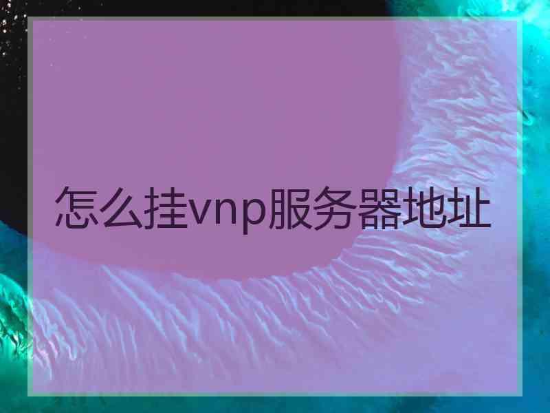 怎么挂vnp服务器地址