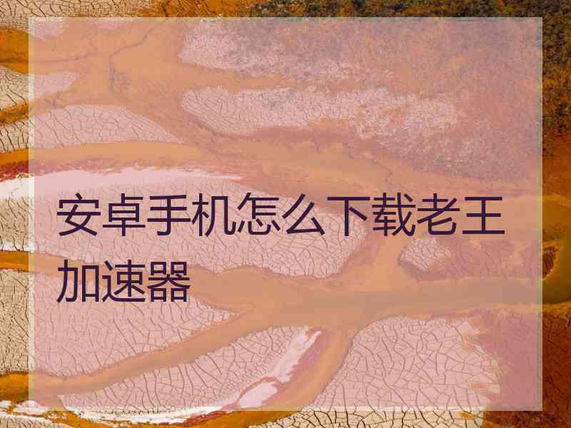 安卓手机怎么下载老王加速器