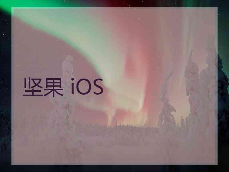 坚果 iOS