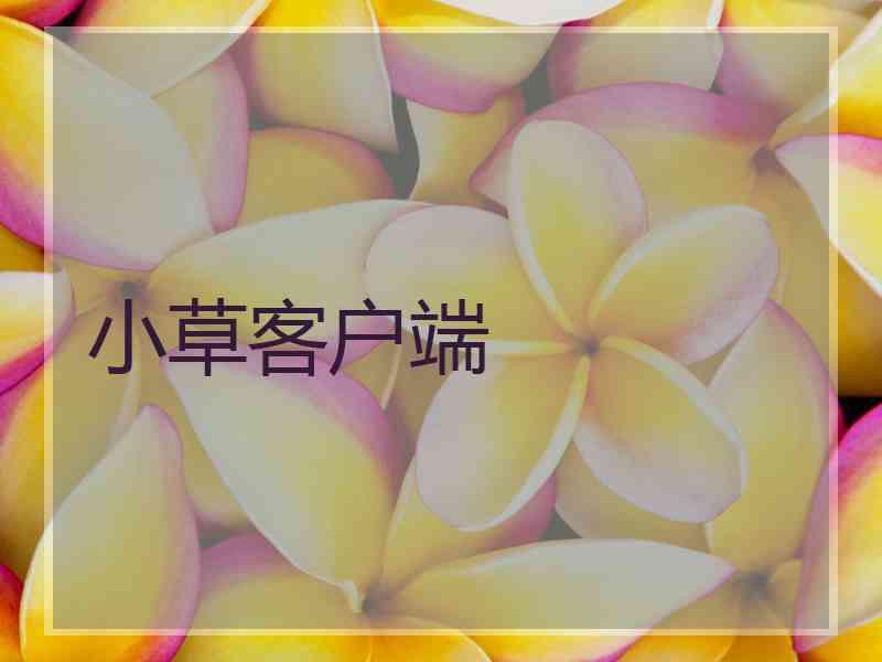 小草客户端