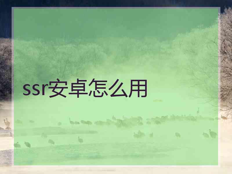 ssr安卓怎么用