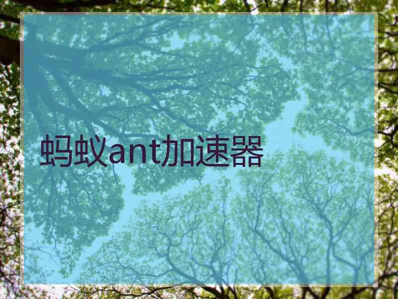蚂蚁ant加速器