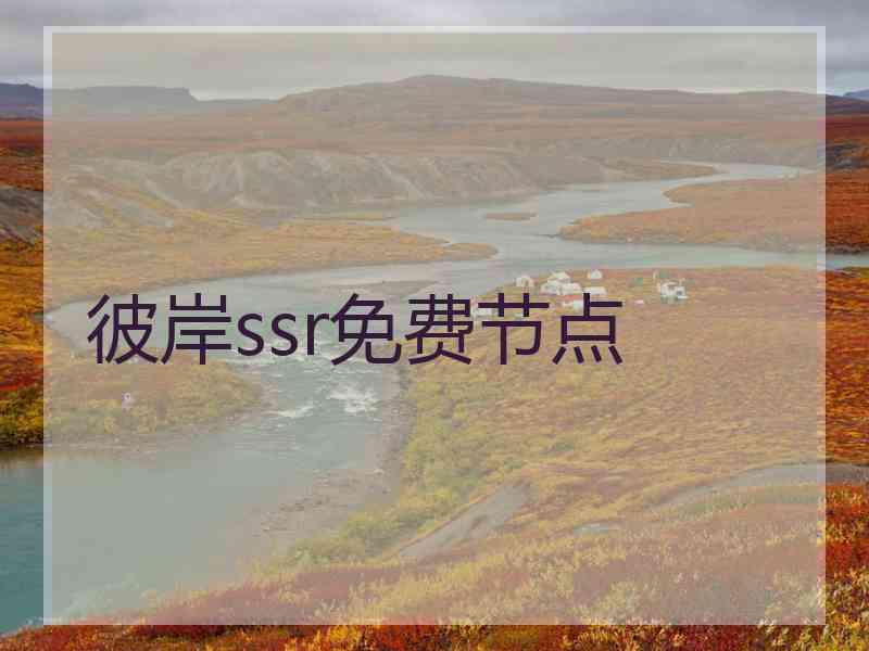 彼岸ssr免费节点