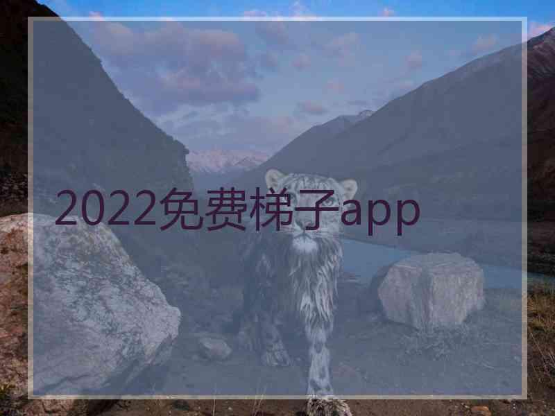 2022免费梯子app