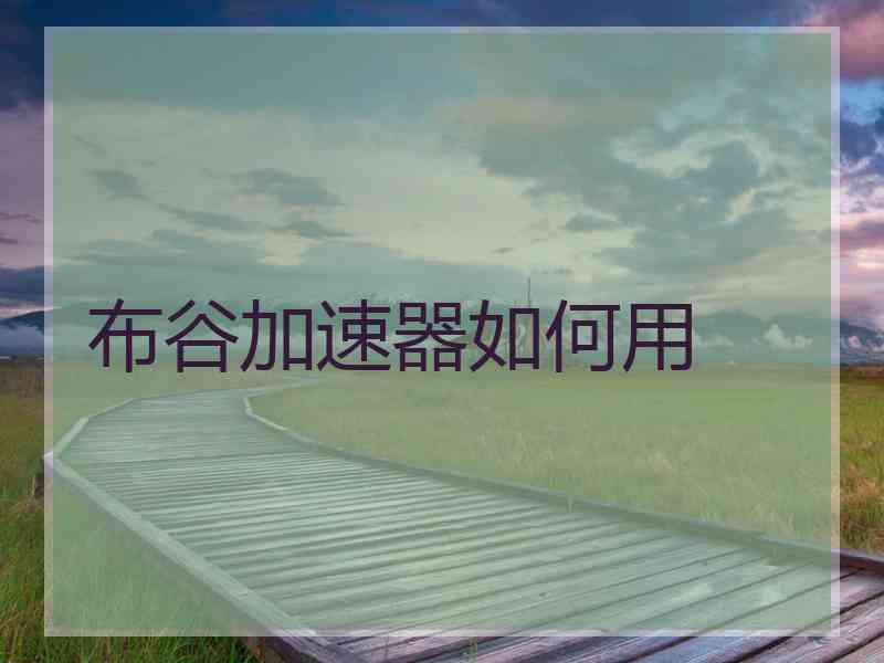 布谷加速器如何用