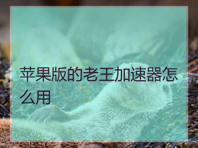 苹果版的老王加速器怎么用