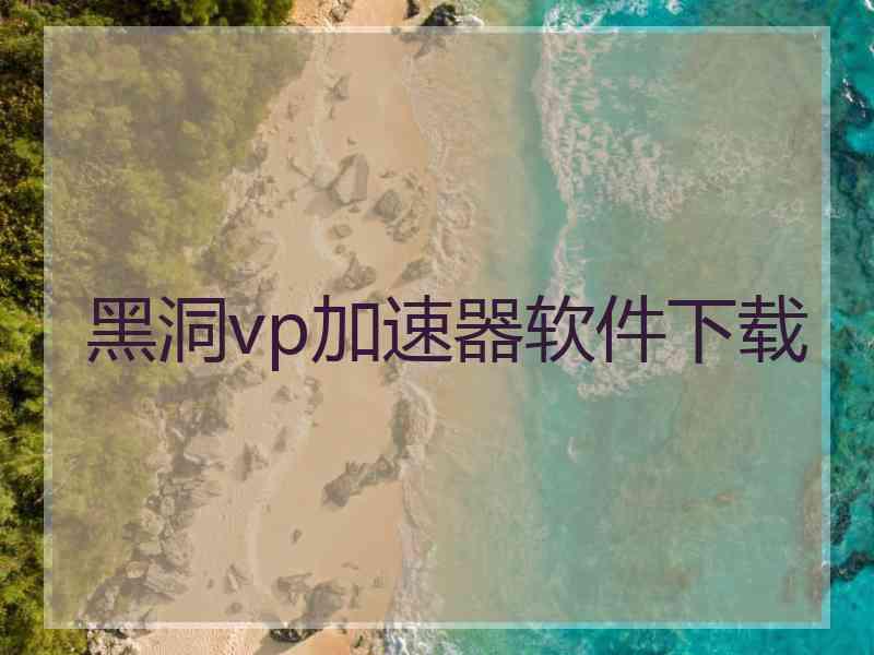 黑洞vp加速器软件下载