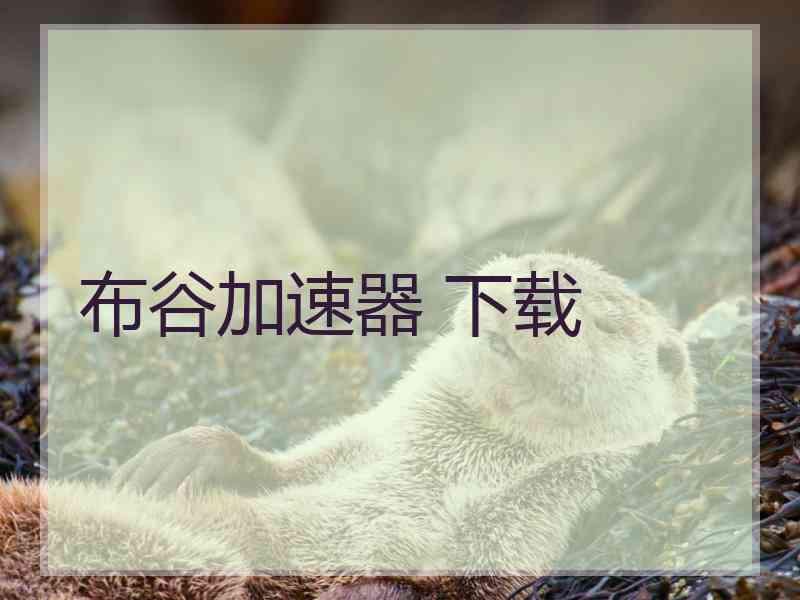 布谷加速器 下载