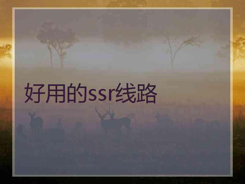 好用的ssr线路
