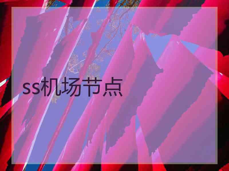 ss机场节点