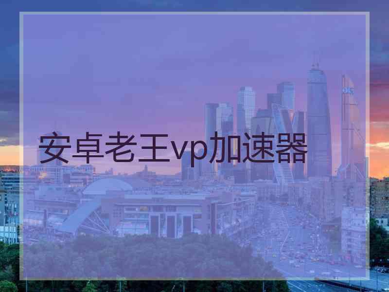 安卓老王vp加速器
