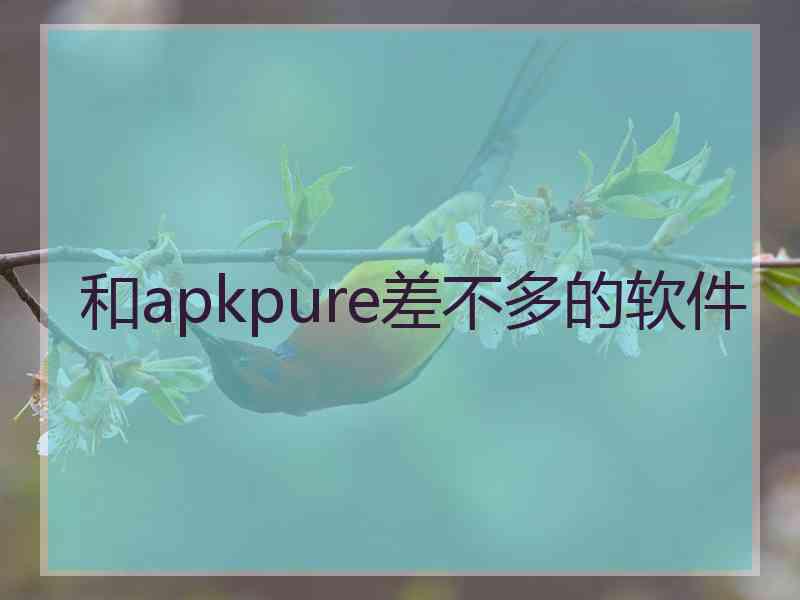 和apkpure差不多的软件