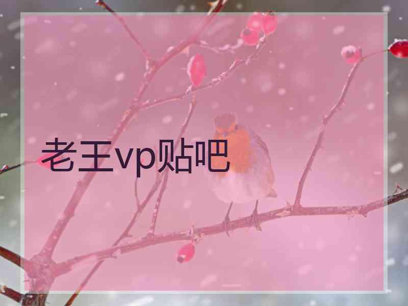 老王vp贴吧
