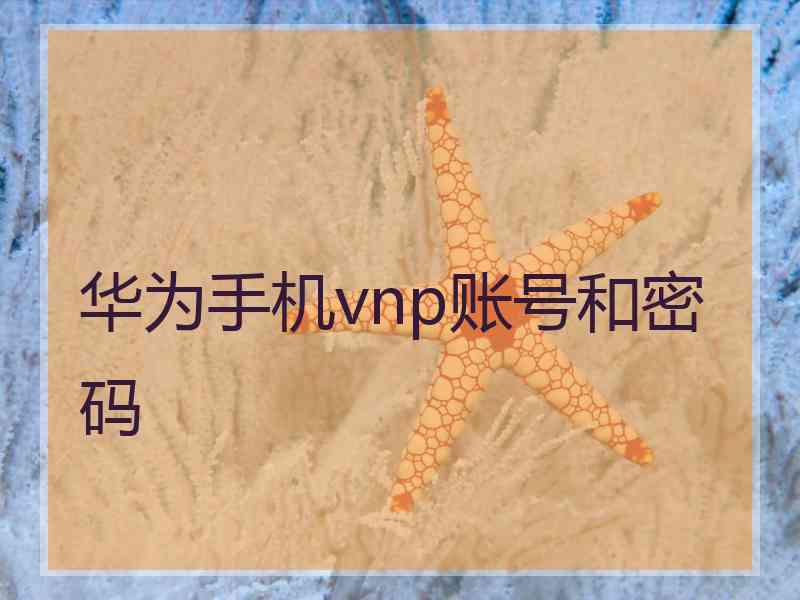 华为手机vnp账号和密码