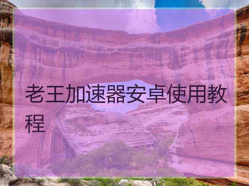 老王加速器安卓使用教程