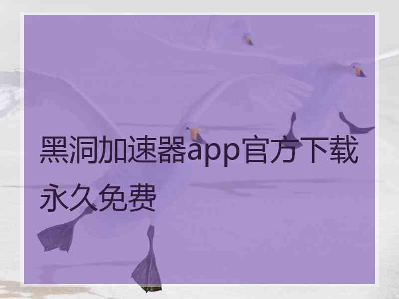 黑洞加速器app官方下载永久免费