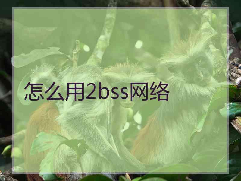 怎么用2bss网络