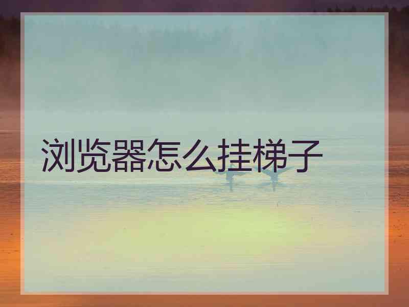浏览器怎么挂梯子