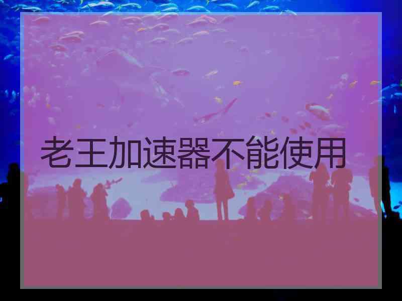 老王加速器不能使用