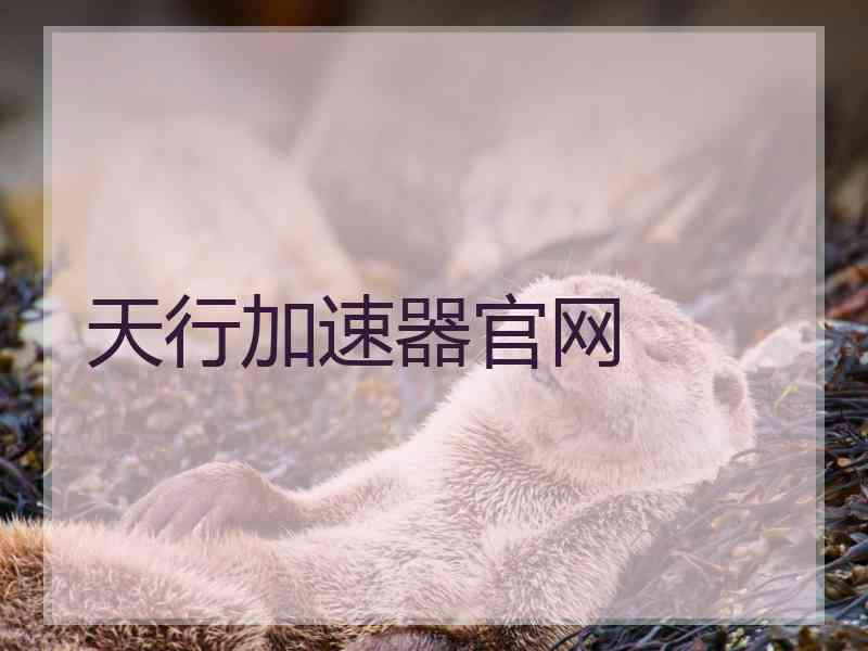 天行加速器官网
