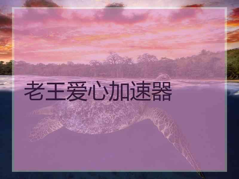 老王爱心加速器
