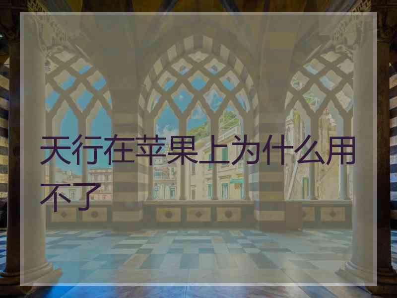 天行在苹果上为什么用不了