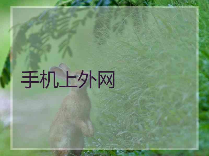 手机上外网