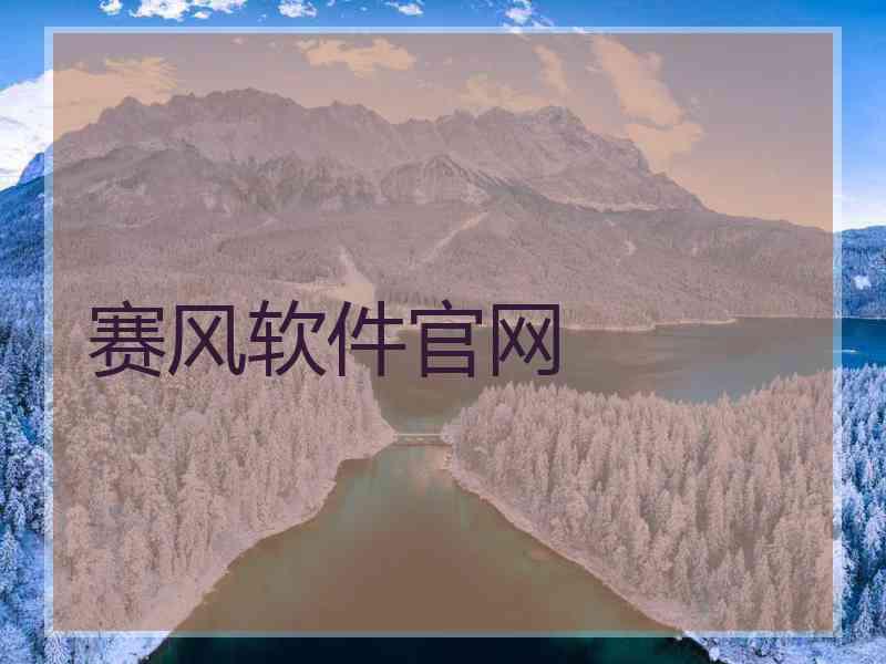 赛风软件官网