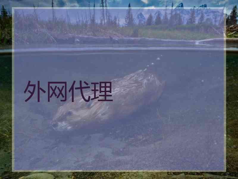 外网代理