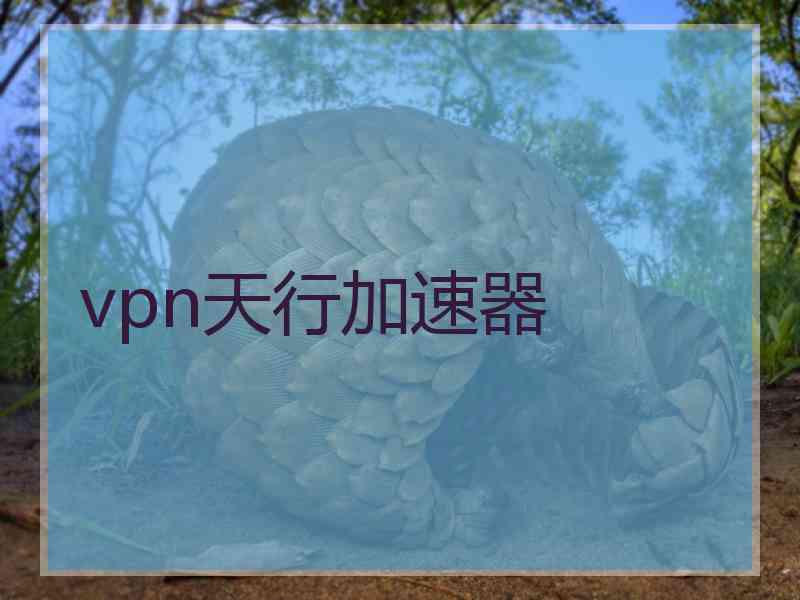 vpn天行加速器