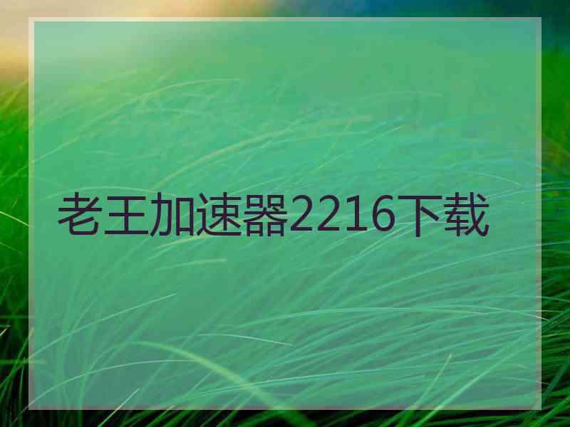 老王加速器2216下载