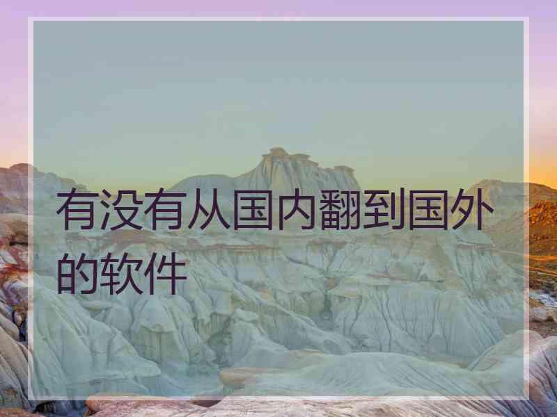 有没有从国内翻到国外的软件