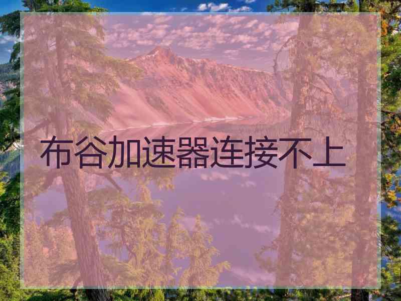 布谷加速器连接不上