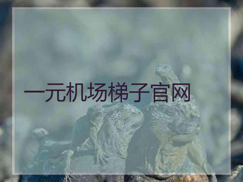 一元机场梯子官网
