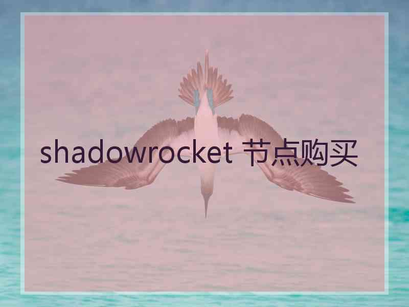 shadowrocket 节点购买