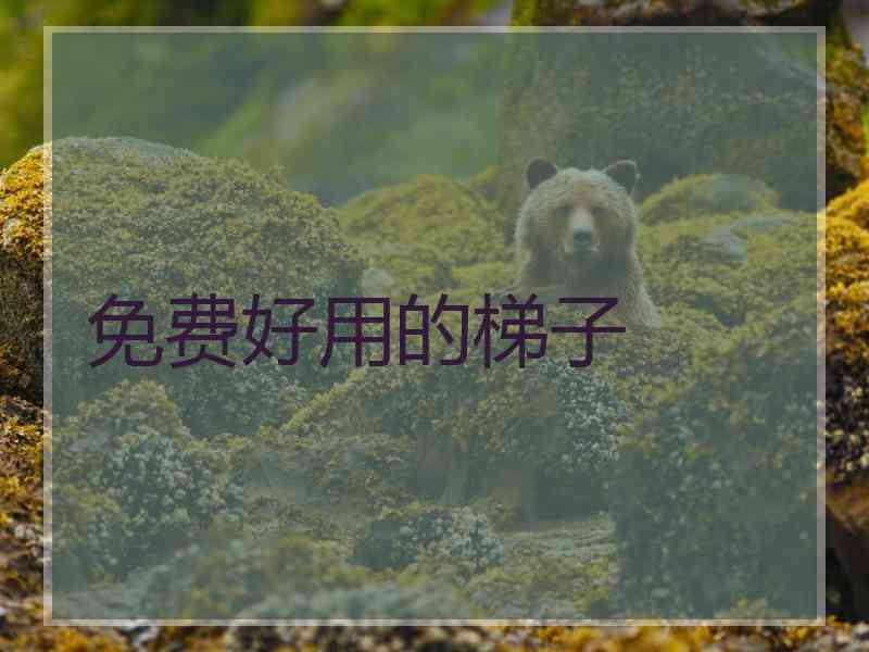 免费好用的梯子
