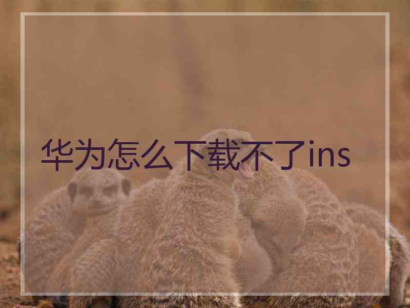 华为怎么下载不了ins