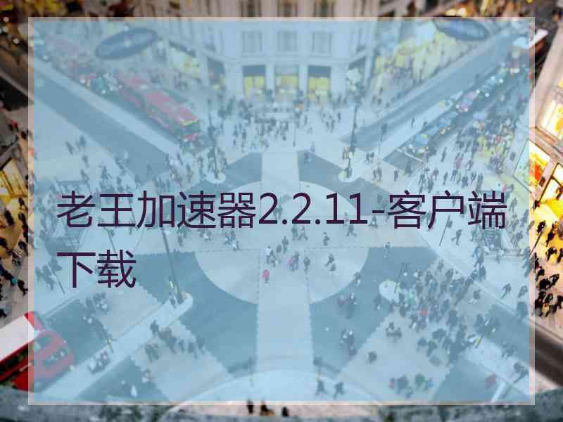 老王加速器2.2.11-客户端下载