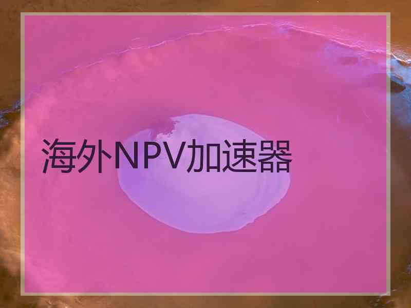 海外NPV加速器