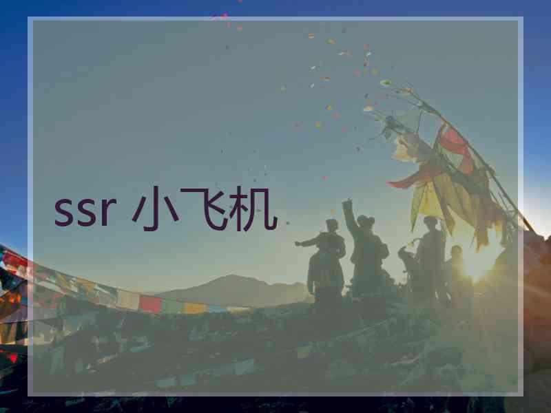 ssr 小飞机